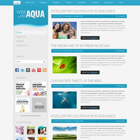 Template Image for Aqua - WordPress Template