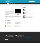 Template: DesignTeam - Website Template