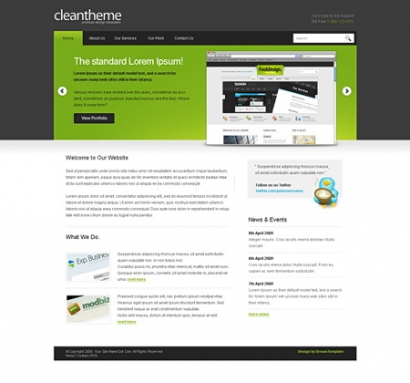 Template Image for CleanTheme - Website Template
