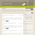 Image for Image for BlogRiver - WordPress Template