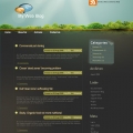 Image for Image for CosmicRays - WordPress Theme