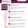 Image for Image for HummingBird - WordPress Template