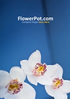 Image for Image for 4638
