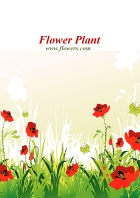 Image for Image for 4558