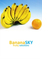 Image for Image for 4493