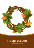 Image for Image for 1434