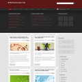 Image for Image for QwertyPress -WordPress Template