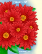 Image for Image for 4558