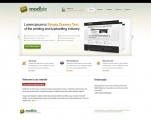 Image for Image for Lowde - Website Template