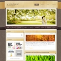 Image for Image for LightWood - WordPress Template