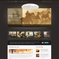 Image for Image for Compass - Website Template