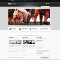Image for Image for ModernChroma - WordPress Template