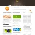 Image for Image for GrapeVine - WordPress Theme