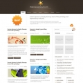 Image for Image for VectorFields - WordPress Theme