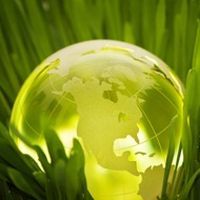How to Go Green with Your Website